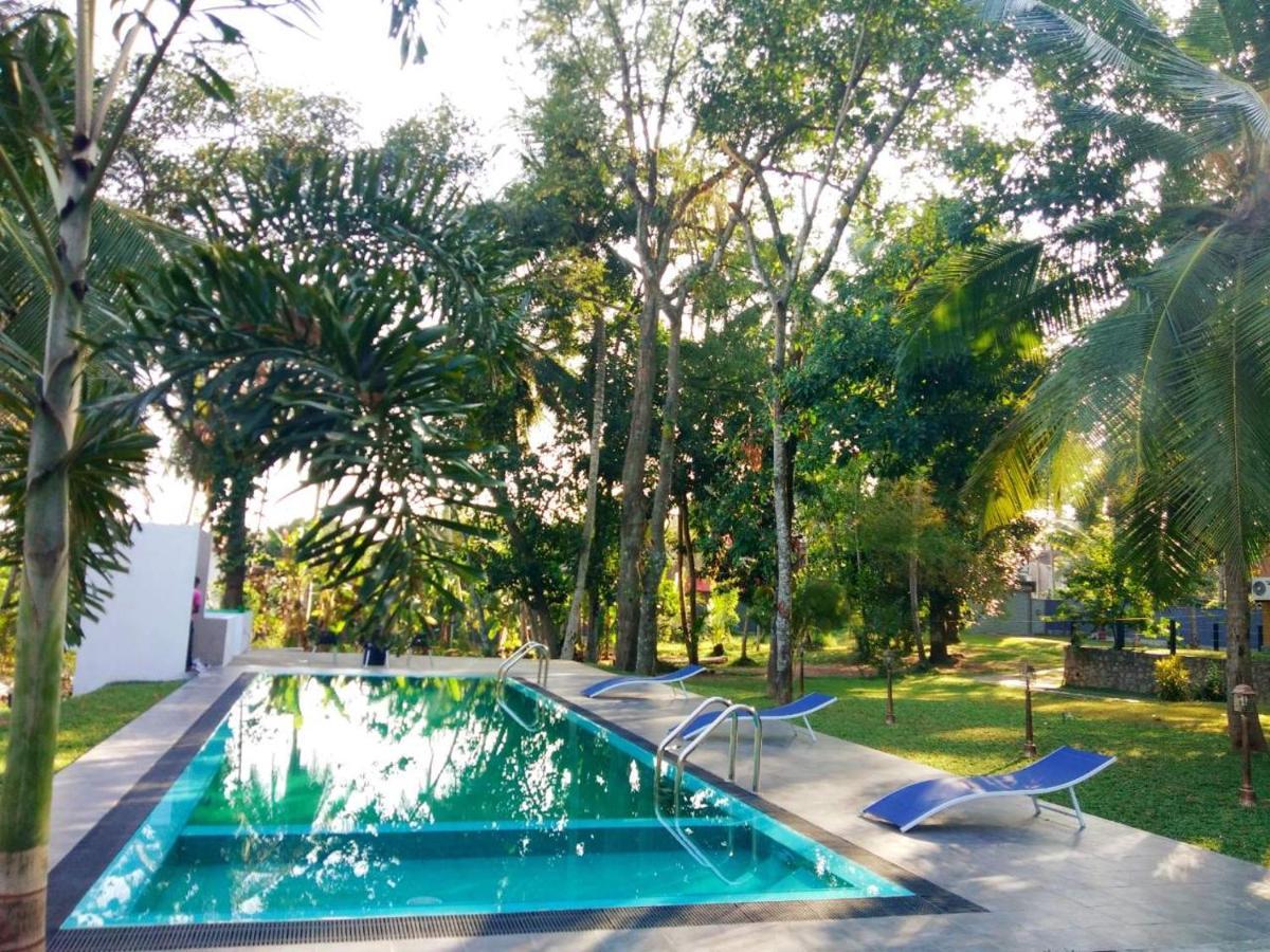 Temple Pond Villa Colombo พิลิยันเดเล ภายนอก รูปภาพ